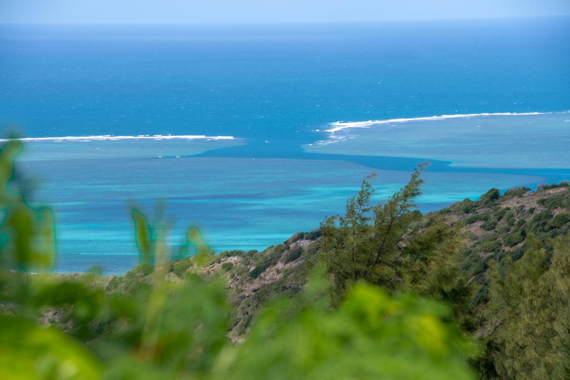 Le Tropical Chez Jeannette Saint Gabriel Exterior foto