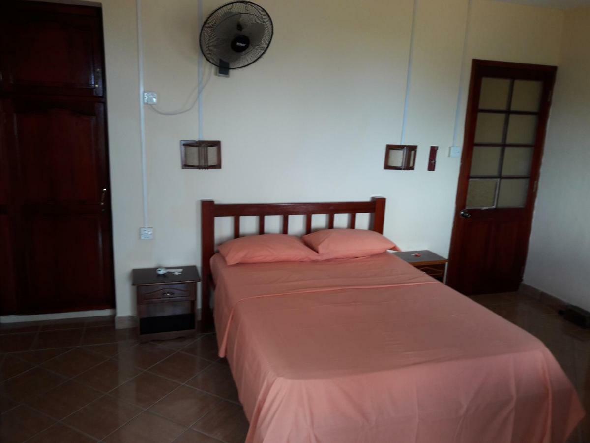 Le Tropical Chez Jeannette Saint Gabriel Exterior foto